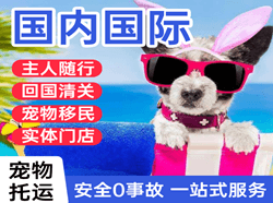 连云港空运代理国际宠物托运 【国